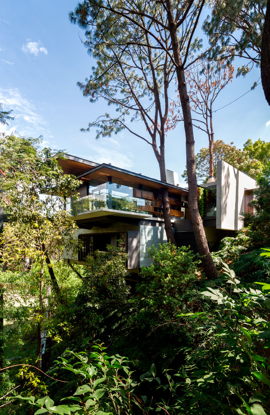 Casa Del Arbol | Legorreta Sepúlveda Arquitectos